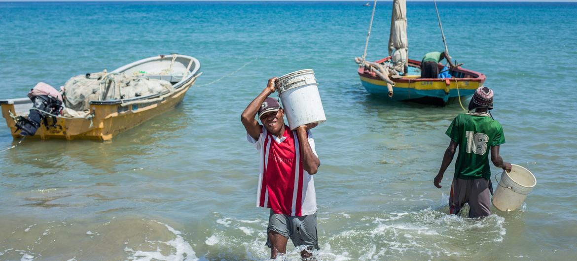 ماهیگیری پایدار معیشت در هائیتی را بهبود می بخشد.