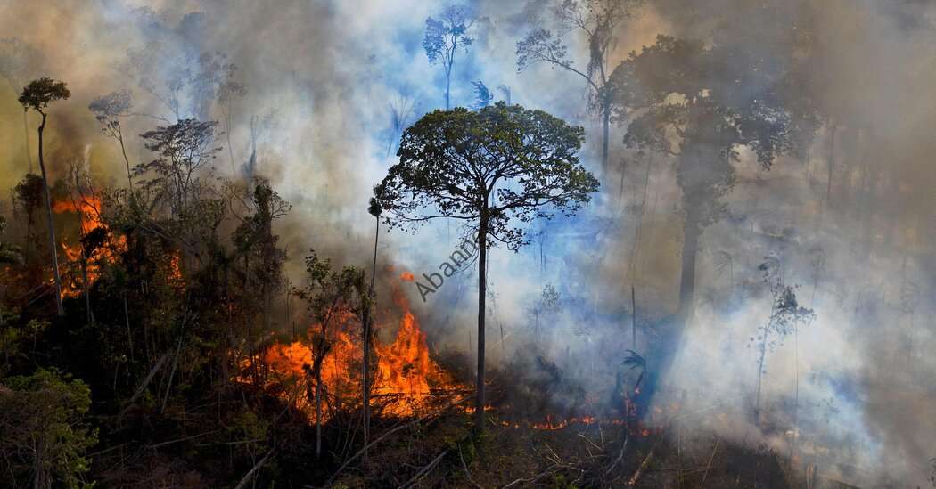 نظر |  جنگ پوتین جنایتی علیه سیاره زمین است
