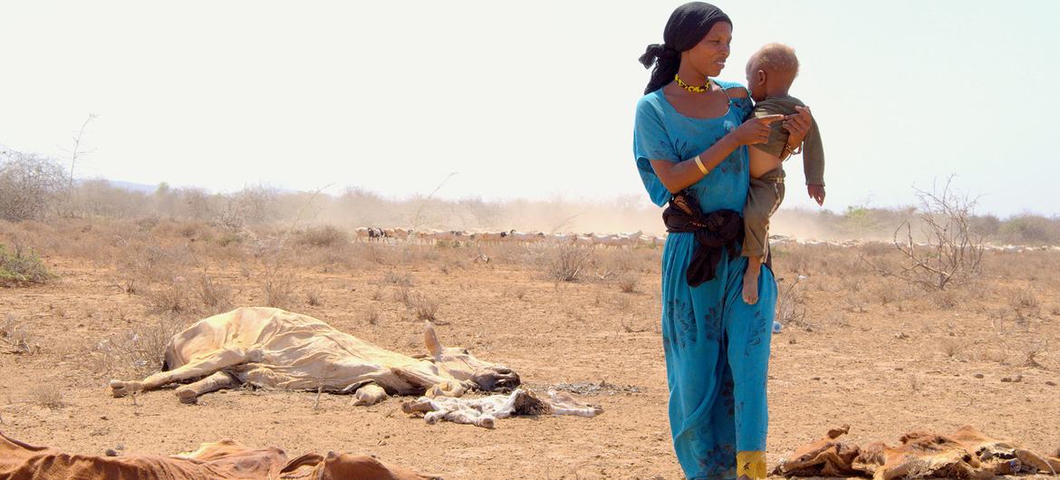 مادری فرزندش را از لاشه دام‌هایی که در اثر خشکسالی شدید در مارسابیت کنیا مرده‌اند حمل می‌کند.