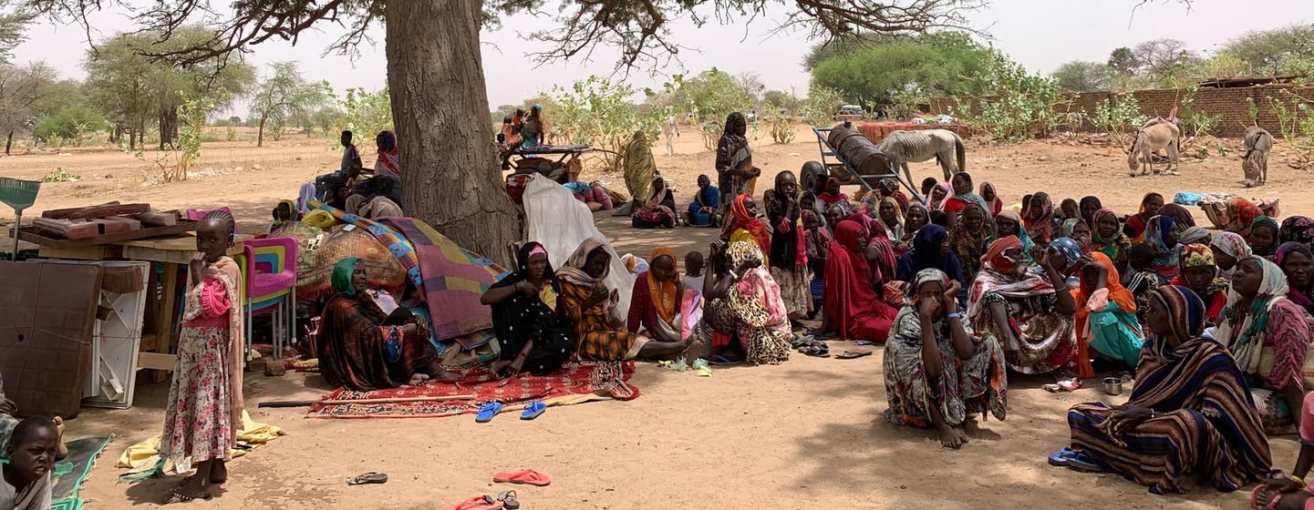 پناهندگانی که از درگیری در سودان فرار می کنند، زیر درختی در روستای کوفرون، در همسایگی چاد، پناه می برند.